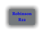 Robinson R22